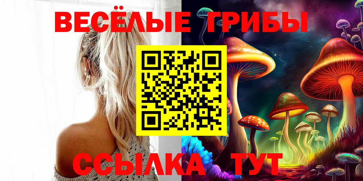 Галлюциногенные грибы GOLDEN TEACHER Новотроицк