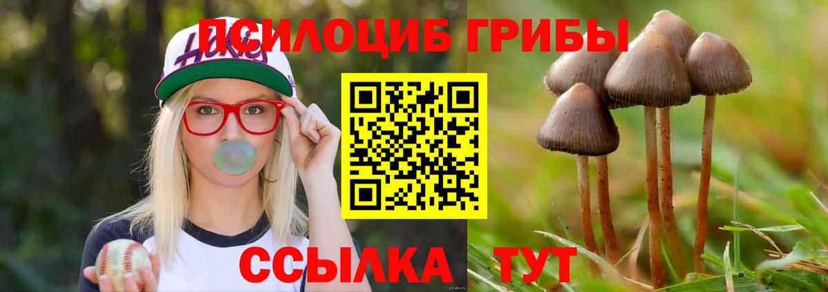 Новотроицк  Псилоцибиновые грибы MAGIC MUSHROOMS  Псилоцибиновые грибы Magic Shrooms  Вход с VPN 