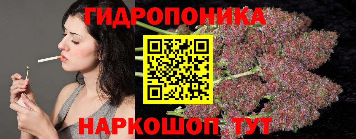 Бошки Шишки THC 21%  Вход с VPN  Каннабис индика  Шишки марихуана марихуана  МАРИХУАНА индика  Новотроицк 